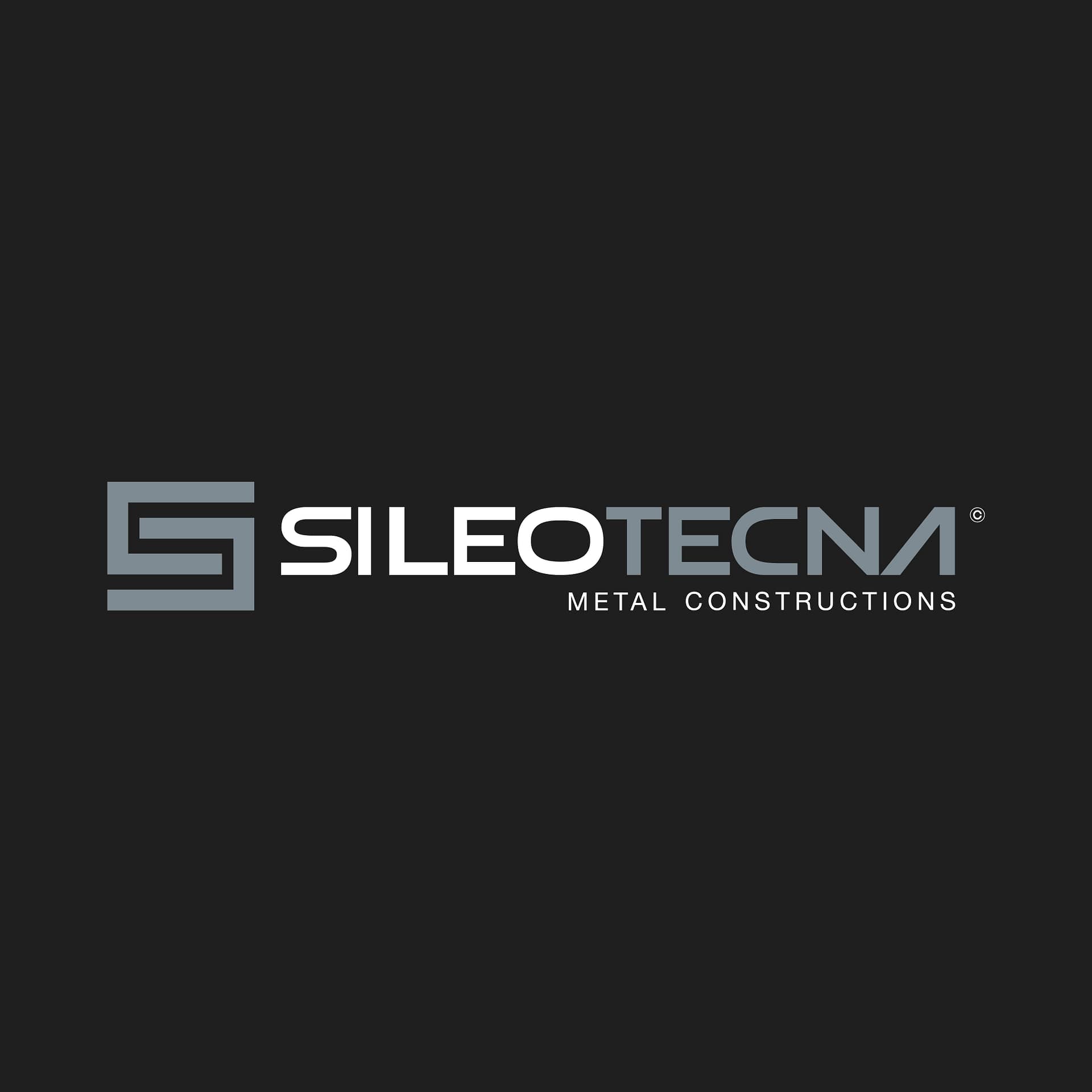 SILEOTECNA – Logo SILEOTECNA - Logo